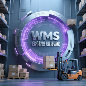 WMS倉儲管理系統(tǒng)